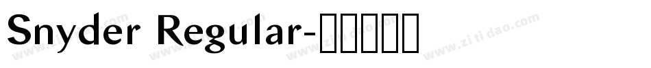 Snyder Regular字体转换